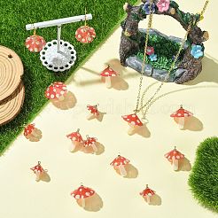 15Pcs 3 Styles Plastic Pendants&nbsp;KY-CJ0002-13