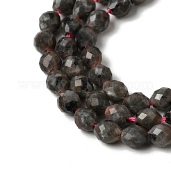 Natural Syenite Beads Strands&nbsp;G-K376-F09-01