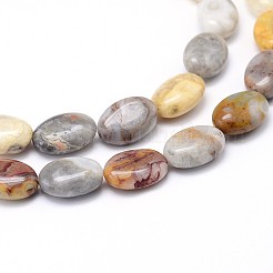 Natural Crazy Lace Agate Flat Oval Bead Strands&nbsp;G-M206-18