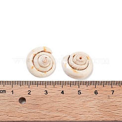 Natural Shiva Eye Shell Beads&nbsp;BSHE-S090