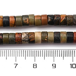 Natural Polychrome Jasper/Picasso Stone/Picasso Jasper Beads Strands&nbsp;G-Z006-C42