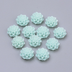 Resin Cabochons&nbsp;RB772Y-16
