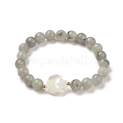 Natural Labradorite & Synthetic Hematite Stretch Bracelet&nbsp;BJEW-M236-01K