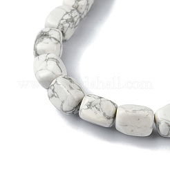 Natural Howlite Beads Strands&nbsp;G-F743-02S