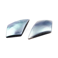 Natural Turbo Cornulus/Top Shells Cabochons&nbsp;SSHEL-N003-154