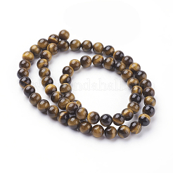 Natural Tiger Eye Beads Strands&nbsp;X-G-G099-6mm-4