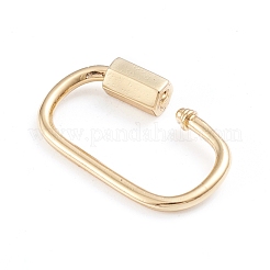 Brass Screw Carabiner Lock Charms&nbsp;X-ZIRC-I041-05G