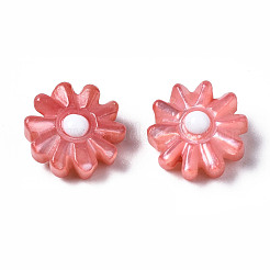 Natural Freshwater Shell Beads&nbsp;SHEL-N003-20B