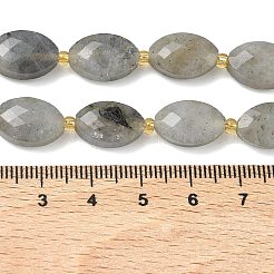 Natural Labradorite Beads Strands&nbsp;G-A295-A01-01
