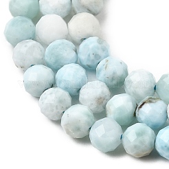 Natural Larimar Beads Strands&nbsp;G-F785-B01-02
