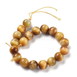 Natural Tiger Eye Beads Strands&nbsp;G-G099-10mm-9