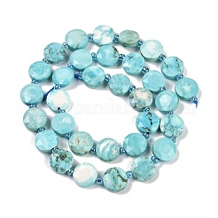 Dyed Natural Howlite Beads Strands&nbsp;G-C116-A63-01