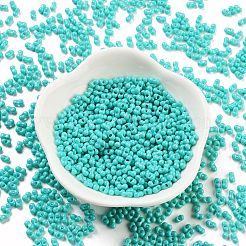 Baking Paint Glass Seed Beads&nbsp;X1-SEED-A033-05O