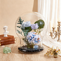 Round Glass Dome Cover&nbsp;GLAA-WH0049-013C