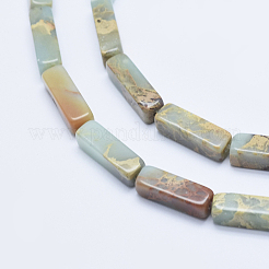 Natural Aqua Terra Jasper Beads Strands&nbsp;G-E444-15B