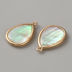 Brass Pave Natural Paua Shell Teardrop Pendants&nbsp;DIY-WH0899-32A