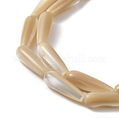 Natural Trochus Shell Beads&nbsp;PEAR-B002-01B-B