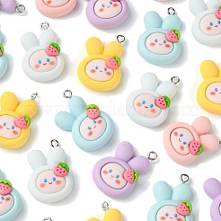 25Pcs 5 Colors Opque Resin Animal Pendants&nbsp;RESI-CJ0003-76