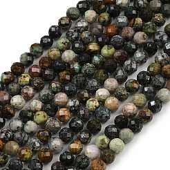 Natural African Turquoise(Jasper) Beads Strands&nbsp;G-G281-B01-6mm