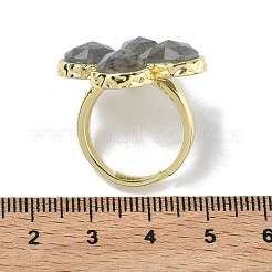 Natural Labradorite Faceted Adjustable Finger Rings for Women&nbsp;RJEW-A092-01G-12