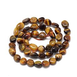 Natural Tiger Eye Beads Strands&nbsp;G-R445-8x10-05