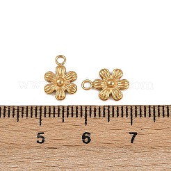 304 Stainless Steel Charms&nbsp;STAS-A120-12G