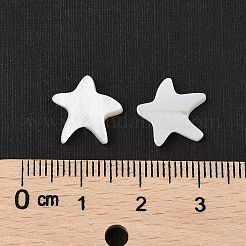 Natural Freshwater Shell Beads&nbsp;SHER-R100-03A