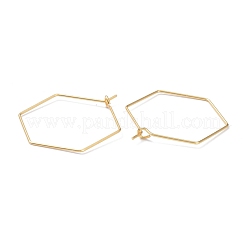 316 Stainless Steel Hoop Earring Findings&nbsp;X-STAS-K216-03B-G