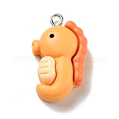 Opaque Resin Pendants&nbsp;LS-RESI-G043-E03