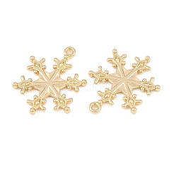 Alloy Pendants&nbsp;FIND-B059-05G-02
