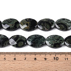 Natural Kambaba Jasper Beads Strands&nbsp;G-S354-13x18-A03
