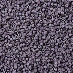 MIYUKI Delica Beads&nbsp;SEED-JP0008-DB1062