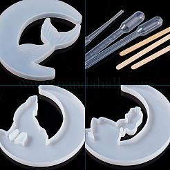 DIY Silicone Moon Molds Kits&nbsp;DIY-TA0008-30