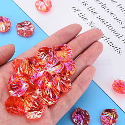 Transparent Acrylic Pendants&nbsp;MACR-S373-73-C01