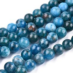 Natural Apatite Beads Strands&nbsp;G-O186-E02-6mm