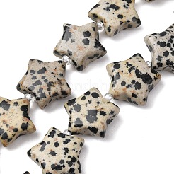 Natural Dalmatian Jasper Beads Strands&nbsp;G-K359-E12