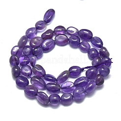 Natural Amethyst Beads Strands&nbsp;G-O186-B-05