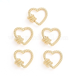 Brass Screw Carabiner Lock Charms&nbsp;X-ZIRC-E164-13G