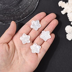 4Pcs Natural White Shell Mother of Pearl Shell Pendants&nbsp;SSHEL-YW0001-10