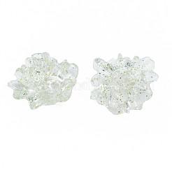 Transparent Acrylic Cabochons&nbsp;TACR-N006-16-A04