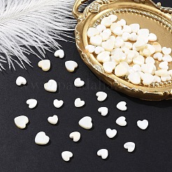 30Pcs Natural Freshwater Shell Beads&nbsp;SHEL-YW0001-18