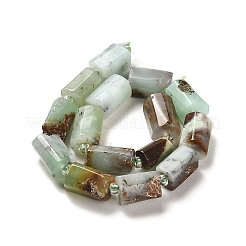 Natural Chrysoprase Beads Strands&nbsp;G-N327-03-36