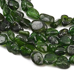 Natural Green Diopside Beads Strands&nbsp;G-G464-A01-02