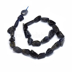 Natural Cordierite/Iolite/Dichroite Beads Strands&nbsp;G-O173-002