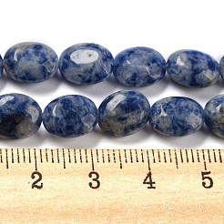 Natural Blue Spot Jasper Beads Strands&nbsp;G-M420-D08-01