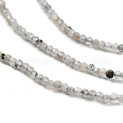 Natural Labradorite Beads Strands&nbsp;G-RM2025-10-2mm