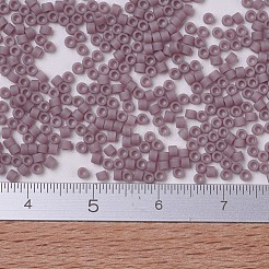 MIYUKI Delica Beads&nbsp;SEED-JP0008-DB0758