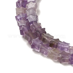 Natural Amethyst Beads Strands&nbsp;G-G085-B01-01