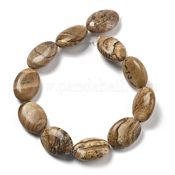 Natural Picture Jasper Beads Strands&nbsp;G-P528-M28-01