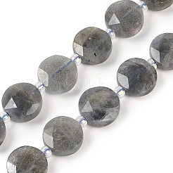 Natural Labradorite Beads Strands&nbsp;G-C116-A46-01